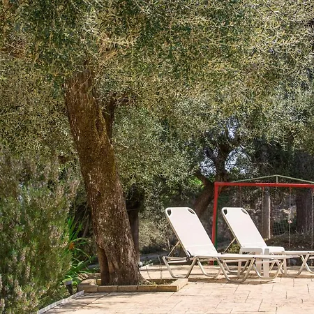 Olive Grove Poolside * Μπενίτσες